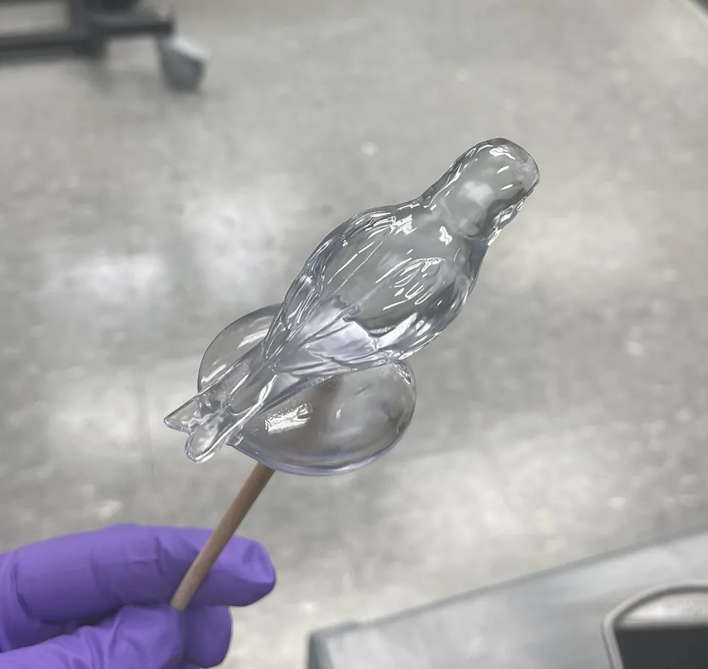 Clear resin bird print held on a dowel